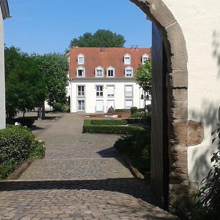 Amf Ferienwohnungen Historischer Soutyhof Зарлуи Екстериор снимка